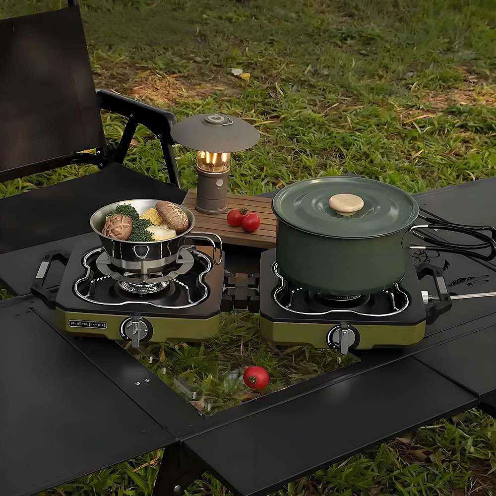 Camping Stove Double Burner Po - Camping Double Cooking Stove 评论和价格